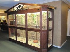 a display case with plants and rocks in it