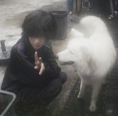 a person kneeling down next to a white dog