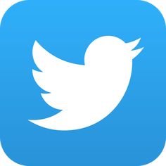 the twitter logo is blue and white with a small bird on it's side