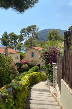 the stairs lead up to the house from the garden area, which is lined with trees and bushes