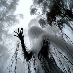 a woman with long white hair standing in front of some trees and holding her hands up to the sky