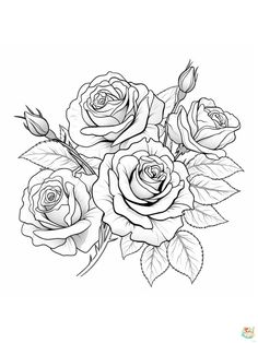 a bouquet of roses with leaves and buds on a white background, coloring book page