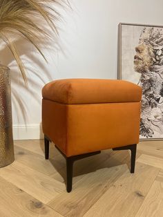 an orange ottoman sitting on top of a hard wood floor next to a tall plant