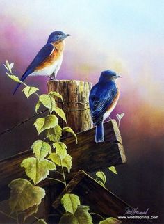 two blue birds perched on top of a wooden post next to green leafy branches