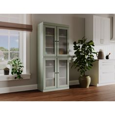 a green cabinet next to a potted plant in a room with white walls and wooden floors