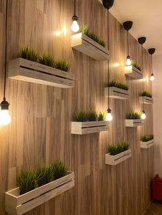 several planters with plants in them are hanging on the wall