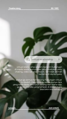 an image of a computer screen with the words virtual relationship on it and a potted plant next to it