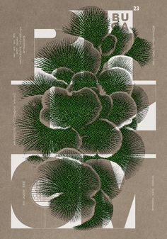 an image of a poster with plants on it