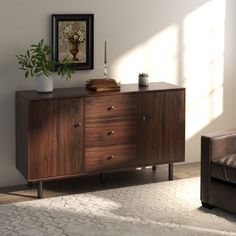 a living room scene with focus on the sideboard and plant in the corner,