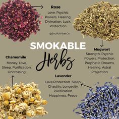 Smokeable Herbs, Smokable Herbs, Witchy Spells, Magia Das Ervas, Wiccan Magic, Witch Spirituality, Magic Herbs, Magical Herbs, Herbal Healing