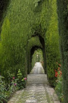 an archway in the middle of a garden filled with flowers and greenery on both sides