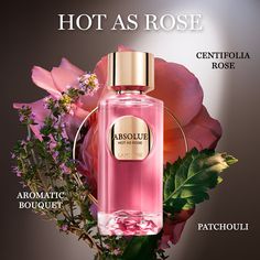 Fragrance Family: SWEET & LUMINOUS A RADICAL ROSE ENCOUNTER WITH HEAT & JUNIPER The sun at its zenith, bursting through our rose’s petals. Sweetened by the surrounding fruit trees, it is stunning and full of life. The rose is enhanced by juicy & fruity blackcurrant, strong yet sweet. PERFUMER'S INSPIRATION “A radiant rose bathed in aromatics. For this creation, I imagined a floral composition built around two key ingredients: the queen of flowers, the Rose and an ensemble of aromatic notes: cypress, rosemary & thyme, like an ode to a lush garden.” - ALEXANDRA MONET & ALBERTO MORILLAS ABOUT THE COLLECTION Absolue Les Parfums is a radical collection dedicated to our rose, born in our Domaine. The first ever rose-dedicated haute-parfumerie collection composed of 11 scents unveils our exclusiv Sweet Perfumes For Women, Lancome Product Photography, Lancome Tresor Midnight Rose, Idole Lancome Perfume Similar, Lancome Idole Intense, Idole Lancome Perfume Nectar, Lancome Perfume, Centifolia Rose, Sweet Perfume