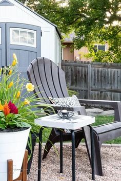 a potted plant sitting next to a chair on top of a gravel covered ground