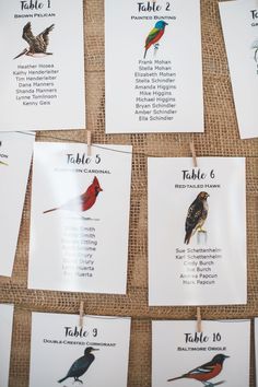 there are many different birds on this table number card game for kids to play with