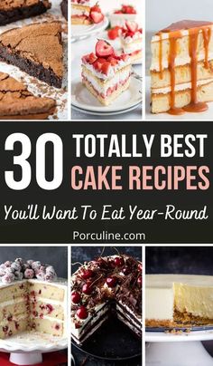 the best cake recipes you'll want to eat year - round