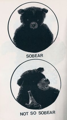 two black bears are shown with the words sobear and not so so bear