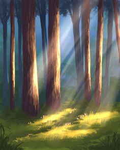 sunlight shining through the trees in a forest with grass and flowers on the ground,