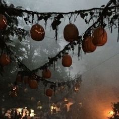 lanterns hanging from a tree in the fog with lights on them and people standing around