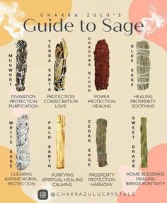 Helpful sage guide : occult Witch Herbs, Magic Herbs, Magical Herbs, Witch Spell Book