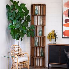 a living room filled with furniture and a plant