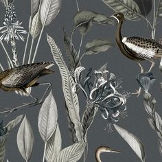 an image of birds and plants on a gray background