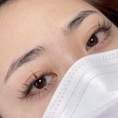 Eyelashes Asian, Eyelashes Natural Look, Bentuk Alis, Natural Eyelash Extensions, Eyelashes Natural, Asian Eye Makeup