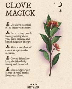 Herbal Witch, Magickal Herbs, Witch Herbs, Witch Rituals, Witchcraft Spells