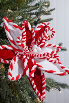 a red and white christmas ornament hanging from a tree with candy canes