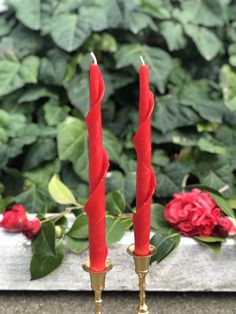 two red candles sitting next to each other in front of green leaves and flowers on the ground