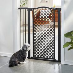 a dog sitting in front of a gate with an open door on the other side