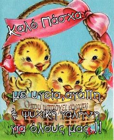 two little chicks sitting in a basket with a pink ribbon around it and the words kalo noxu