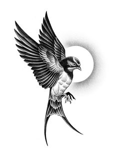 a black and white drawing of a bird flying in the air with its wings spread