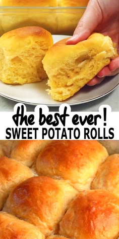 the best ever sweet potato rolls are made with butter and they're ready to be eaten