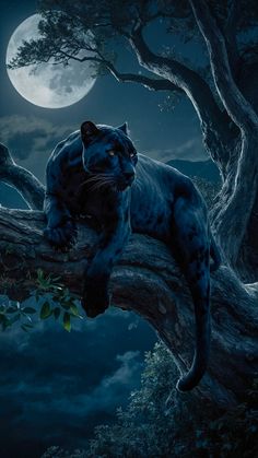 a black leopard sitting on top of a tree branch in front of a full moon