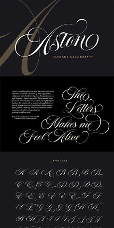 Aston Script Pro | Font graphic, Graphic design inspiration layout, Fancy letters . #Advertising_Layout #Graphic_Design_Inspiration_Layout #Calligraphy_Script_Fonts #A_Calligraphy