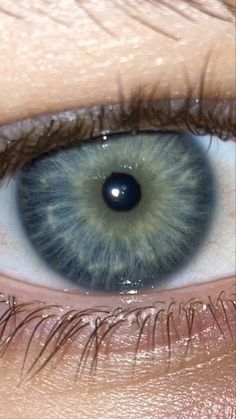 Pretty Eyes Color, Heterochromia Eyes, Electric Blue Eyes, Sky Blue Eyes, Jade Eyes, Iris Eye, Blue Eye Color, Teal Eyes