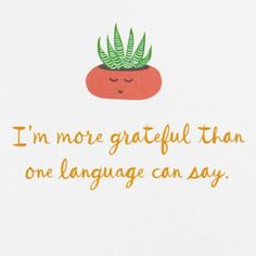 i'm more grateful than one language can say greeting card with an illustrated tomato