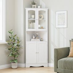 a living room with white furniture and a potted plant