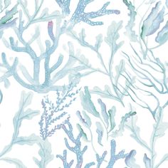 #color_aqua Wallpapers For Walls Interiors Bedroom, Coastal Wallpaper Bedroom, Bathroom Wallpaper Blue, Coastal Bedroom Wall Decor, Blue Waves Wallpaper, Coral Reef Wallpaper, Coastal Background, Watercolor Coral Reef, Beachy Designs