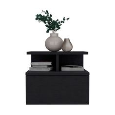 two vases on top of a black shelf with books and plants in it, against a white background