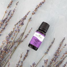 Lavender Fine Essential Oil – Plant Therapy Essential Oils Lavender, Plant Therapy Essential Oils, Unscented Lotion, Essential Oil Brands, Fragrance Lab, Essential Oil Plants, Moisturizing Toner, Plant Therapy, Pregnancy Safe Products