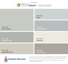 the color scheme for colorsnap visualizer, which is available in several different shades