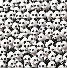 many black and white pandas are in the shape of people's heads together