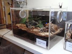 an aquarium filled with plants and rocks on top of a white counter next to a clock