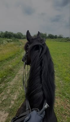 a black horse standing on top of a lush green field next to a dirt road