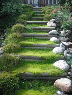 the steps are covered with grass and rocks