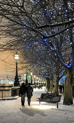 two people walking down a snowy sidewalk next to trees with blue lights on the branches