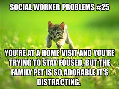 Social worker problems: family pet Workers Quotes, Migraine Humor, Migraine Help, Massage Marketing, Massage Quotes, Social Work Humor, Cutest Pets, Social Workers, Massage Benefits