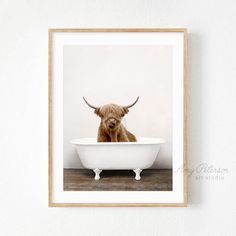 a black and white photo of a cow in a bathtub with horns hanging on the wall