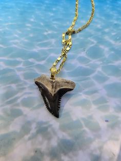 Hand picked extinct snaggletooth shark tooth found on a land site called Bone Valley made onto an 18k gold plated necklace.  Tooth size is 1 inch long. (33 million years old) Shark Tooth Pendant, Tooth Pendant, Shark Tooth Necklace, Tooth Necklace, Shark Tooth, Palm Beach Gardens, Beach Gardens, Shark Teeth, Gold Plated Necklace